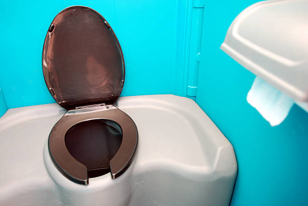 Best Affordable portable toilet rental  in International Falls, MN